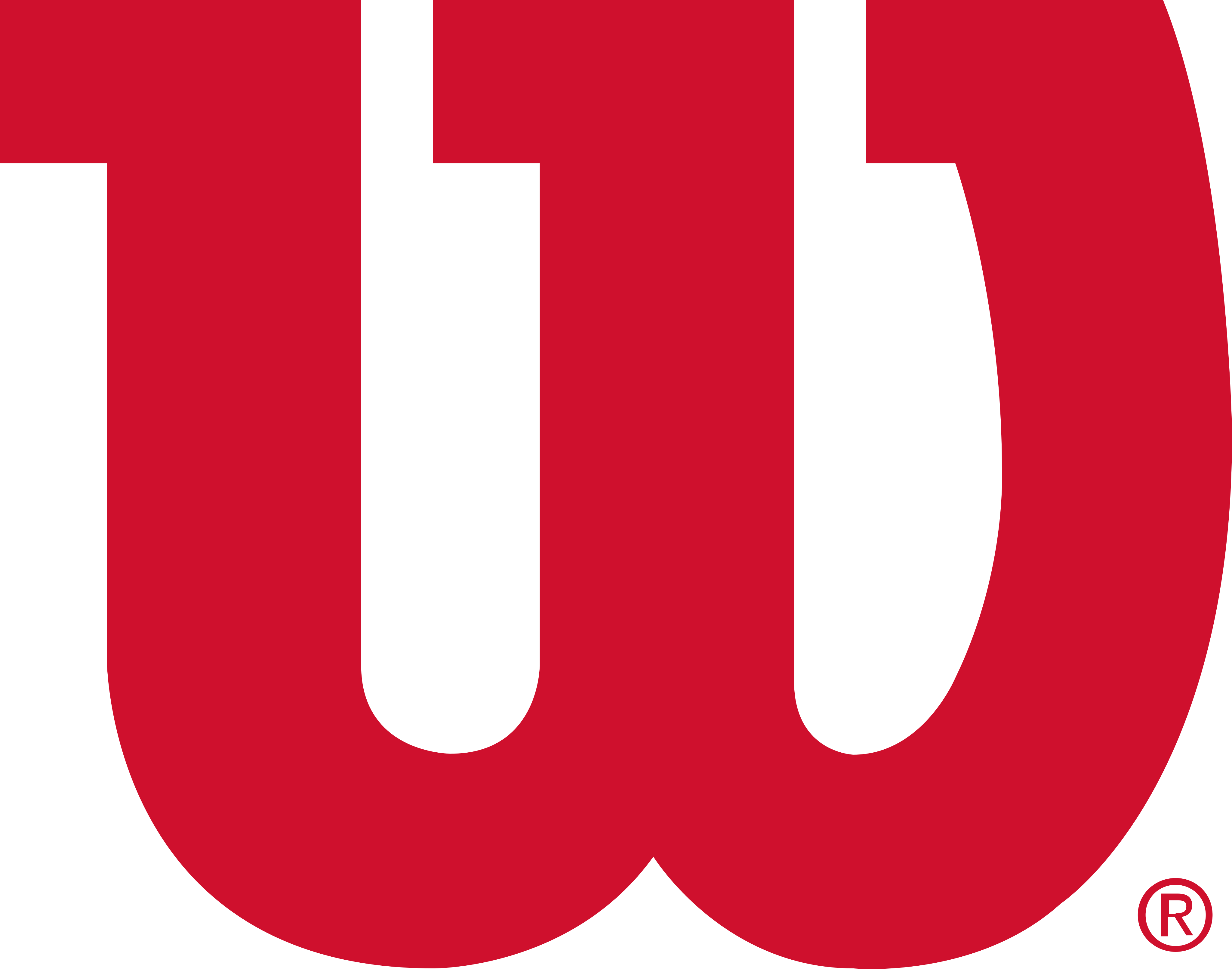 Logo de Wilson